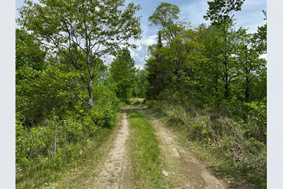 Lot 6 Emery Farm Road, Medford, ME 04463 - Photo 8