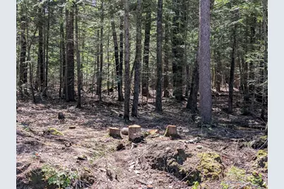 35 McAllister Road, Otisfield, ME 04270 - Photo 6
