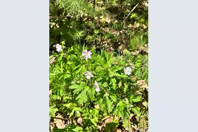 19 Grist Mill Road, Naples, ME 04055 - Photo 28
