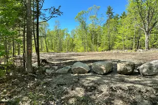 19 Grist Mill Rd, Naples, ME 04055 - Photo 2
