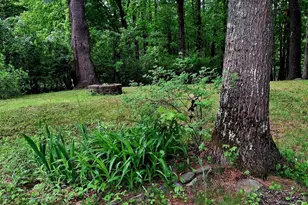 51 Country Club Rd, Sanford, ME 04073 - Photo 38