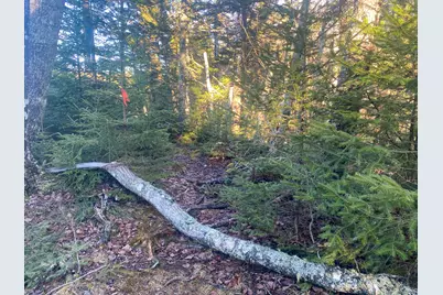 3 Middle Ground View, Jonesport, ME 04649 - Photo 16