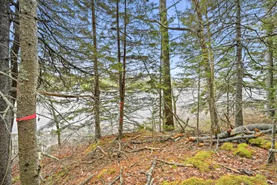 16 Otter Lane, Westport, ME 04578 - Photo 10