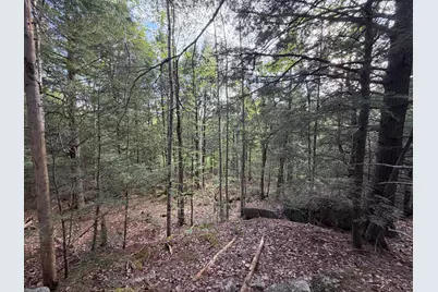 Lot 41-1 Bottle Lake Road, Lakeville, ME 04487 - Photo 8