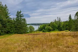 163 Back Rd, Brooklin, ME 04616 - Photo 120