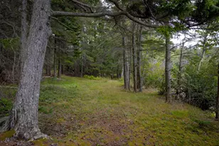 163 Back Rd, Brooklin, ME 04616 - Photo 132