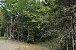 124 Goff Rd, Sangerville, ME 04479 - Photo 4