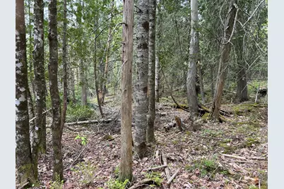 M1L15B Eastbrook Road, Eastbrook, ME 04634 - Photo 28