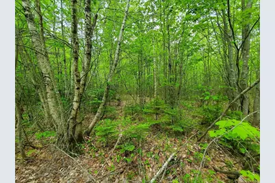 77 South Princeton Road, Alexander, ME 04694 - Photo 10