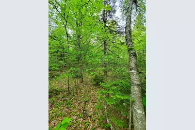 77 South Princeton Road, Alexander, ME 04694 - Photo 12