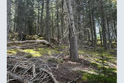 000 Stanley Point Road, Swans Island, ME 04685 - Photo 4