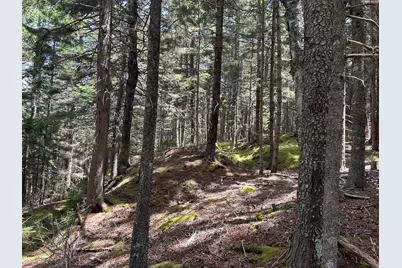 000 Stanley Point Road, Swans Island, ME 04685 - Photo 2