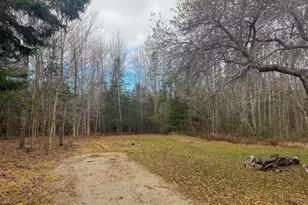 94 Caler Rd, Columbia Falls, ME 04623 - Photo 6