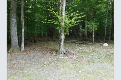 35 Black Cat Point Drive, Princeton, ME 04668 - Photo 6