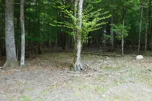 35 Blackcat Pt Dr, Princeton, ME 04668 - Photo 6