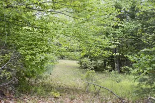 M2 L21-2 S Ridge Rd, Palmyra, ME 04965 - Photo 1
