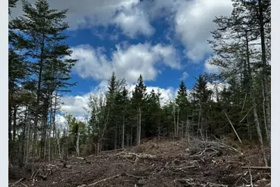 Lot 49 Port Road, Machiasport, ME 04655 - Photo 4
