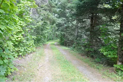 91 Curtis Road, Etna, ME 04434 - Photo 36