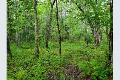 Off Mill Street, Kingman, ME 04451 - Photo 8