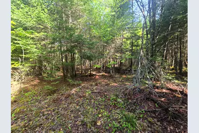 # Private Rd Off Merriman Road, Island Falls, ME 04747 - Photo 12