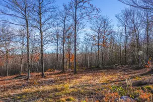 Lot 10 Mine Rd, Stoneham, ME 04231 - Photo 1