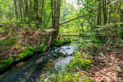 Lot 125 US Rt 1, Milbridge, ME 04658 - Photo 1