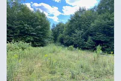 Lot Wa1 Partridge Knoll, Cathance Twp, ME 04628 - Photo 1