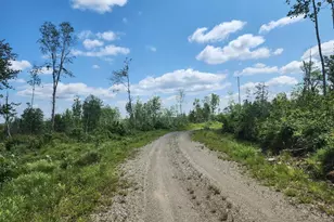 451 Ac Smith Ridge Rd, Charlotte, ME 04666 - Photo 1