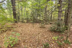 Lot #82 Seboeis Rd, Seboeis Plantation, ME 04448 - Photo 1