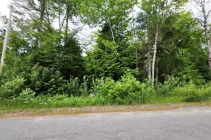 Lot 003 Rice Farm Rd, Millinocket, ME 04462 - Photo 1