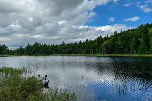 M2L1 Off Bear Hollow Rd, Robbinston, ME 04671 - Photo 1