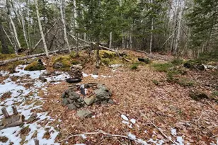 Lot 007 Old County Rd, Mariaville, ME 04605 - Photo 1