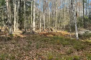 0 French Rd, Norway, ME 04268 - Photo 1