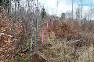 Lot 10 Moose Ln, Springfield, ME 04487 - Photo 1