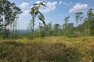 74 French Town and Muzzy Ridge Rd, Searsmont, ME 04973 - Photo 1