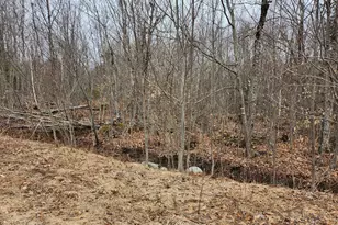 Lot 29-6 Windfall Ln, Palmyra, ME 04965 - Photo 1