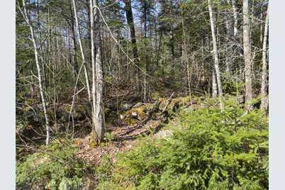 0 Lot Pease, Map 4 Lot 4 Road, Cambridge, ME 04923 - Photo 1