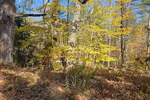 Lot #013 Staples Rd, Newfield, ME 04095 - Photo 1