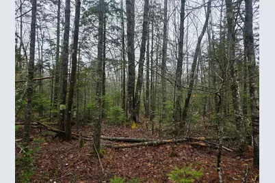 00 Mount Ephraim Road, Searsport, ME 04974 - Photo 1