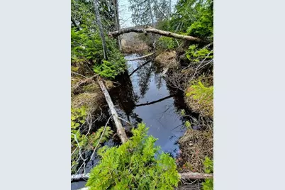 Lot 6 Morrison Brook Acres, Oakfield, ME 04763 - Photo 1