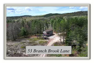 53 Br Brk Ln, Newfield, ME 04095 - Photo 1