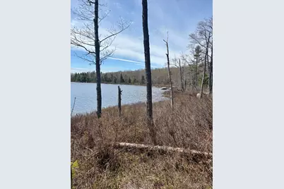 Map8Lot30 Off Walker Heights, Orland, ME 04472 - Photo 1