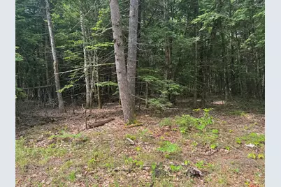 Mp46Lt2017 Island Road, Limerick, ME 04061 - Photo 1