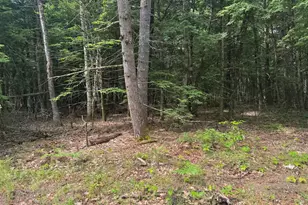 Mp46Lt2017 Island Rd, Limerick, ME 04061 - Photo 1