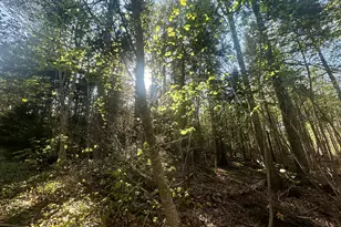 0 Sagamore Farm Rd, Camden, ME 04843 - Photo 1