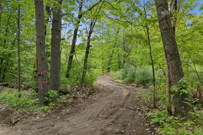 Lot 2 Hasty Road, Parsonsfield, ME 04047 - Photo 1