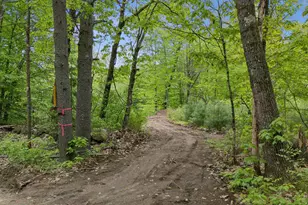 Lot 2 Hasty Rd, Parsonsfield, ME 04047 - Photo 1