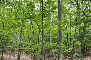 0 Ledgeview Heights, Hiram, ME 04041 - Photo 1