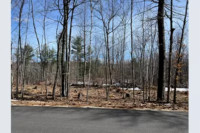 222 Butters Hill Road, Stoneham, ME 04231 - Photo 1