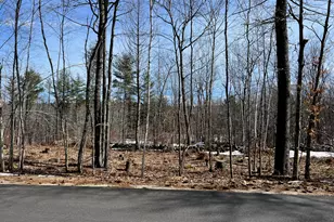 222 Butters Hill Rd, Stoneham, ME 04231 - Photo 1